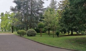 Alessandria